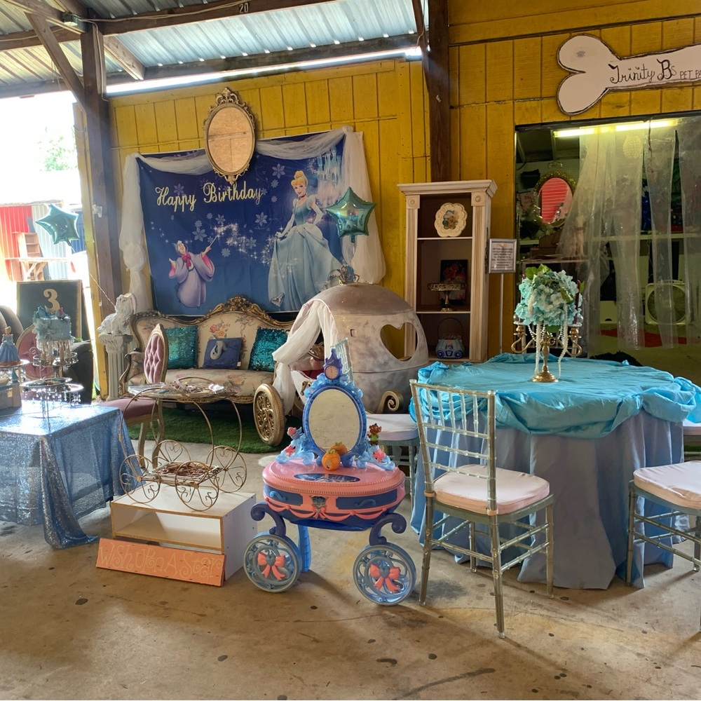 Cinderella Princess Party